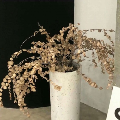 Furry数位板绘画入门技巧兽圈社群